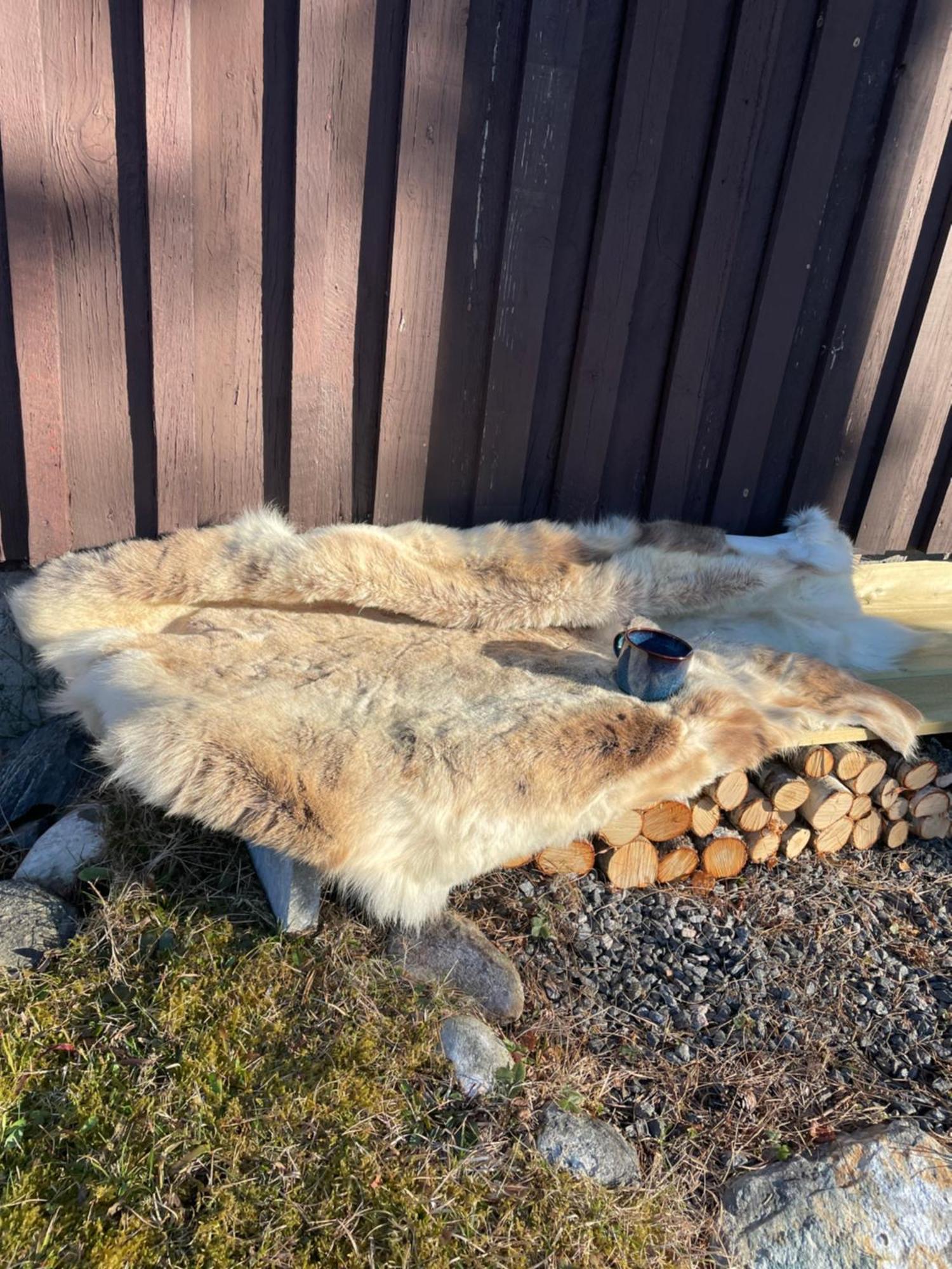 Hytte I Naturskjonne Omgivelser Sofstad Экстерьер фото